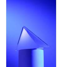 Стела Success Steps