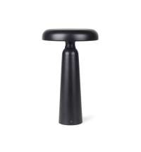 Настольная лампа VINGA Avery RCS