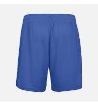 Шорты унисекс Thunder, ярко-синие (royal)