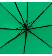 Зонт складной Basic, ver.2, зеленый