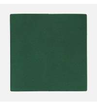 Лейбл Listra Latte, L, зеленый