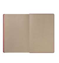 Ежедневник Рейн (Rain) недатированный, бургунди (без упаковки, без стикера)