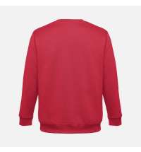 Свитшот унисекс Delta, красный