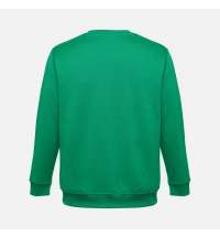 Свитшот унисекс Delta, зеленый