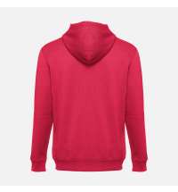 Толстовка мужская на молнии с капюшоном Amsterdam, красная