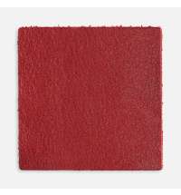 Лейбл кожаный Pasek, L, красный