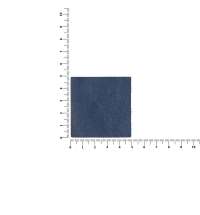 Лейбл кожаный Pasek, L, синий