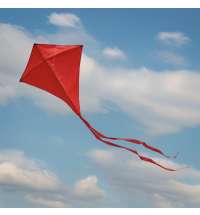 d19e0e17-1ecc-11e4-940e-00155d640301_2_17202-08-3