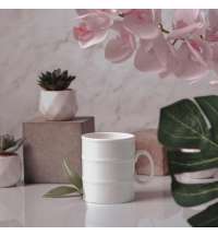 b3cdb6f4-0653-11e3-960d-18a9053c0de9_3_DSC_3921