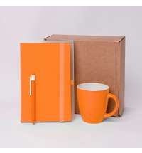 Подарочный набор JOY: блокнот, ручка, кружка, коробка, стружка; оранжевый
