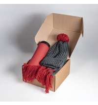 Набор подарочный COLD NIGHT: шарф и шапка, термокружка; красный