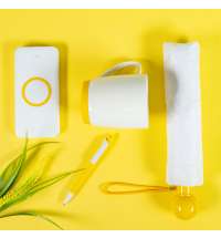 Ручка шариковая FORTE