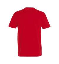 Футболка мужская IMPERIAL 190