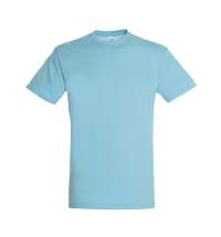 Футболка мужская REGENT150