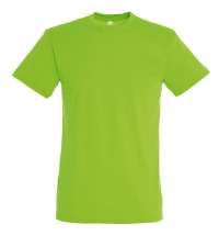 Футболка мужская REGENT150