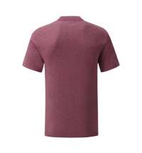 Футболка мужская ICONIC 145