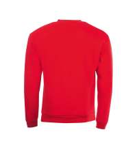 Толстовка свитшот SPIDER 260