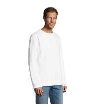 Толстовка-свитшот мужской SULLY 280