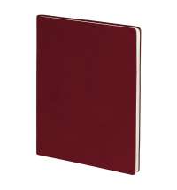 Бизнес-блокнот BIGGY, формат B5,  в клетку