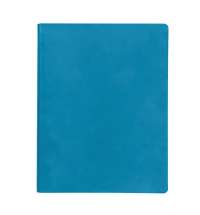 Бизнес-блокнот BIGGY, формат B5,  в клетку