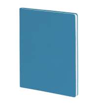 Бизнес-блокнот BIGGY, формат B5,  в клетку