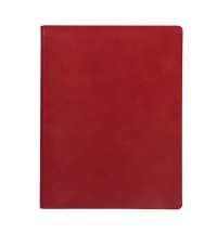 Бизнес-блокнот BIGGY, формат B5,  в клетку