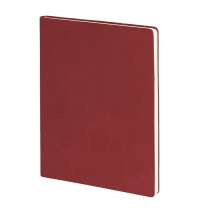 Бизнес-блокнот BIGGY, формат B5,  в клетку