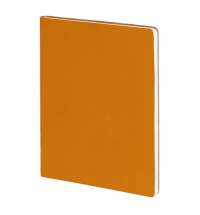 Бизнес-блокнот BIGGY, формат B5,  в клетку