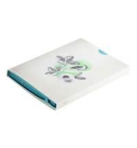 af8c0718-d24f-11ef-967c-00155d41c408_5_af8c0724-d24f-11ef-967c-00155d41c408_1_24700-24-2_0004s_0000_Sloy-18-kopija-2