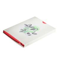 af8c071b-d24f-11ef-967c-00155d41c408_5_af8c0724-d24f-11ef-967c-00155d41c408_1_24700-24-2_0002s_0000_Sloy-18-kopija-6