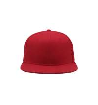 Бейсболка SNAP BACK, 6 клиньев, пластиковая застежка