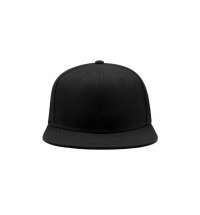 Бейсболка SNAP BACK, 6 клиньев, пластиковая застежка