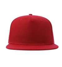 Бейсболка SNAP FIVE-S, 5 клиньев, пластиковая застежка