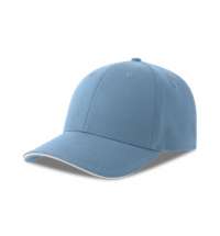 Бейсболка LIBERTY SANDWICH-S 270, 6 клиньев, металлическая застежка