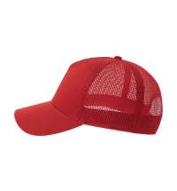 Бейсболка RAPPER COTTON-S, 5 клиньев, пластиковая застёжка