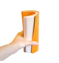 b029a469-2984-11ef-9662-00155d41c408_2_21209-06-30-6