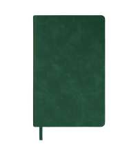 Ежедневник недатированный Muse, зеленый, А5, с декоративной коричневой полосой, блок в линейку