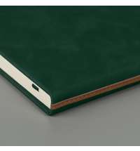 Ежедневник недатированный Muse, зеленый, А5, с декоративной коричневой полосой, блок в линейку