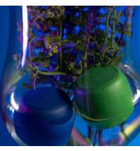 d3d54634-9801-11ee-9650-00155da68a11_9_image-2