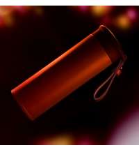 Термос вакуумный STRIPE, 450мл