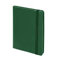 Блокнот SHADY JUNIOR с элементами планирования,  А6, зеленый, кремовый блок в клетку