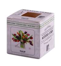 Аромакубики ТЮЛЬПАН (8шт)