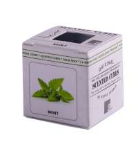 Аромакубики МЯТА (8шт)