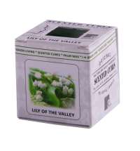 Аромакубики ЛАНДЫШ (8шт)