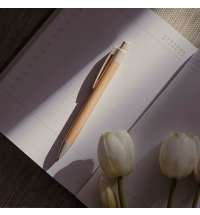 Ручка шариковая N17