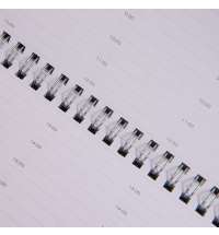 Планинг недатированный Bliss, размер 140х300 мм, в линейку