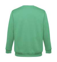 Толстовка унисекс DELTA 300