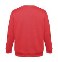 Толстовка унисекс DELTA 300