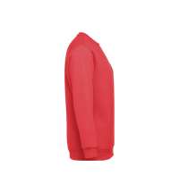 Толстовка унисекс DELTA 300