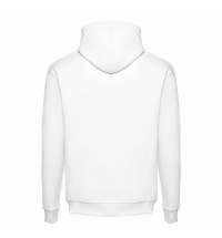 Толстовка с капюшоном унисекс PHOENIX 320